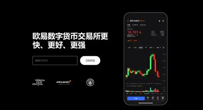 topayAPP下载平台展示图